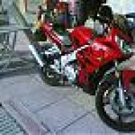 specialfriend