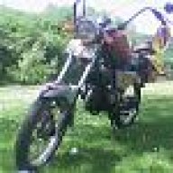 boksör55
