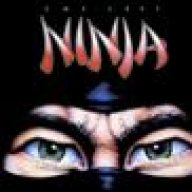 thelastninja