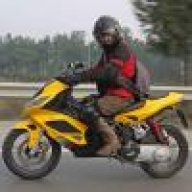 alphano77
