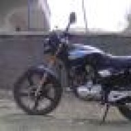 golge20