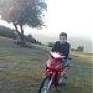 tolqA_45