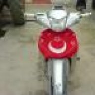 alisch