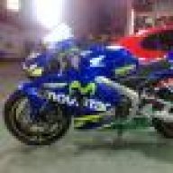 bhrspring