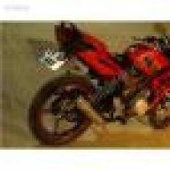 ferdi_race