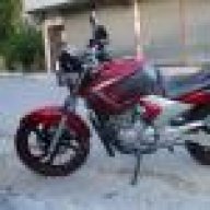 ybr250