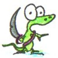 Kiwi_