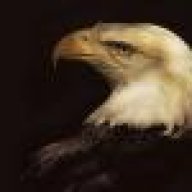 EagleTurk