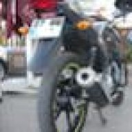 sarex