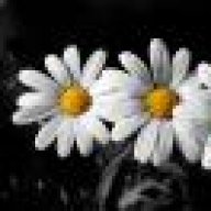 nobly