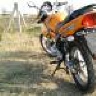 tlgyksl