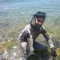 DALGIC_800