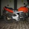 Exslans44