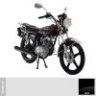 fenomen20