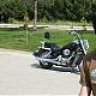 copyrider