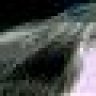cynt