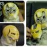 dmg