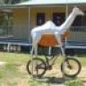 CamelBiker