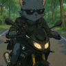 dewo24