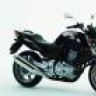 predator 500