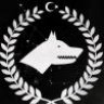 BurakMotorda