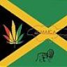 Cannabis07
