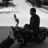 rockn83