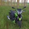 jackall54