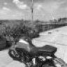 FI Rider
