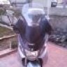 enis51