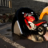 MotoHome