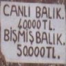 mertbirincioglu