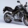 REALRIDER
