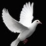 Salvation