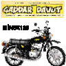 gaddar