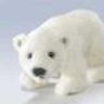 polarbear1116