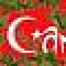 camouflage