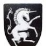 Unicorn Knight