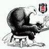 kanarya_avcisi