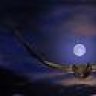 Gece_Yaratığı