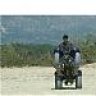 motors_king