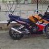 Ekselans11