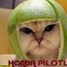 hondapilotu