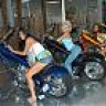sanalex