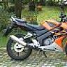 theanswer125r