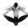 raven71