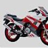 Racing33