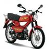 arap034