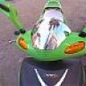 anemon