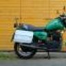 bulbul